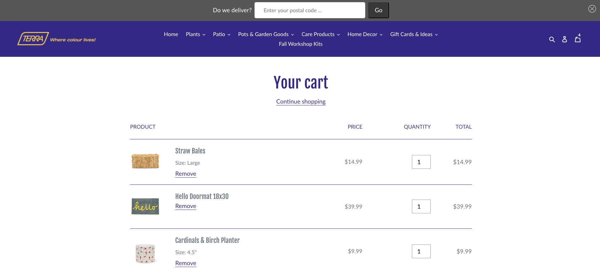 Terra to Go shopping cart view Viewing items in shopping cart on Terra to Go site